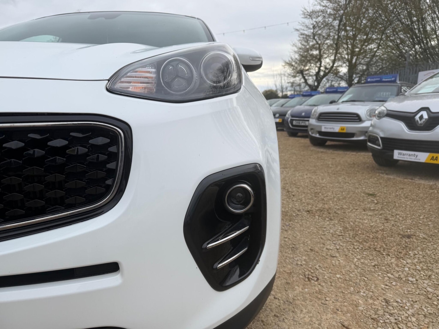 Used Kia Sportage 2017 for sale - 78047527: Photo 5