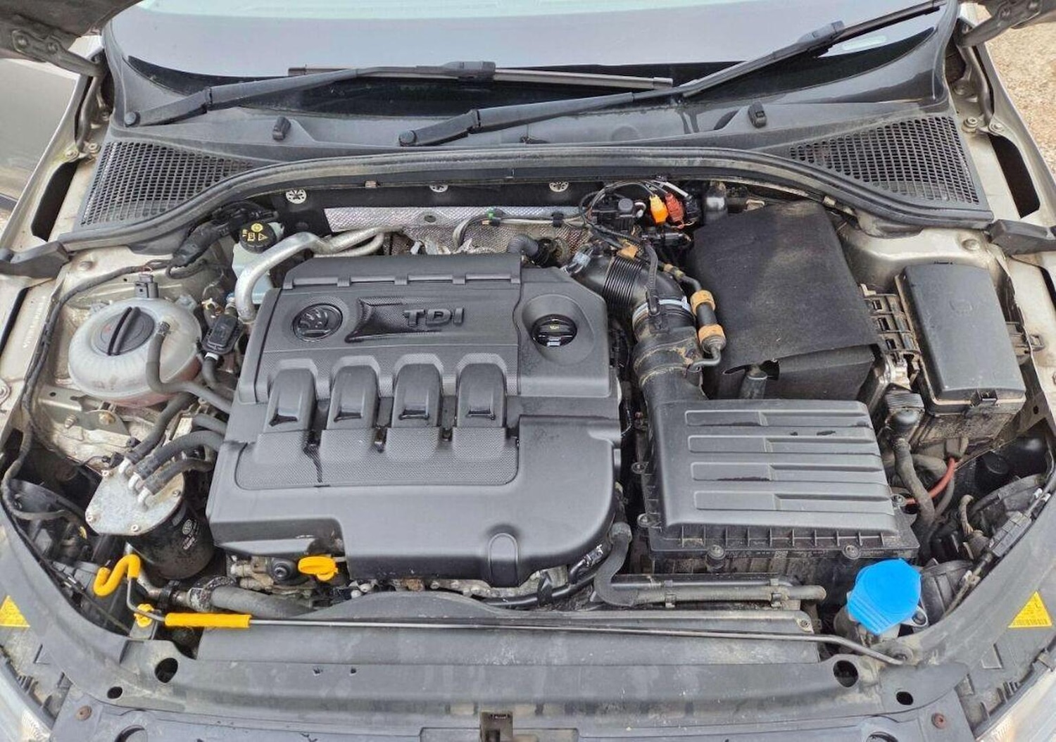 Used Skoda Octavia 2015 for sale - 77038913: Photo 19