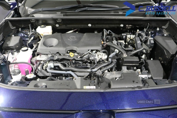 Used Toyota RAV4 2022 for sale - 76123317: Photo 18