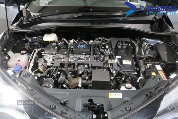 Used Toyota C-HR 2023 for sale - 77497794: Photo 16