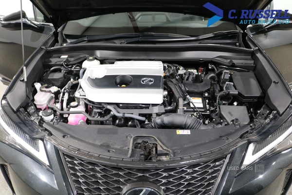 Used Lexus UX 2023 for sale - 78048512: Photo 17