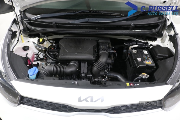 Used Kia Picanto 2023 for sale - 77332330: Photo 14