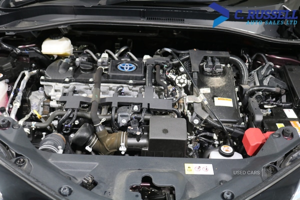 Used Toyota C-HR 2023 for sale - 77705843: Photo 16