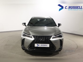 Used Lexus UX 2023 for sale - 79026661: Photo