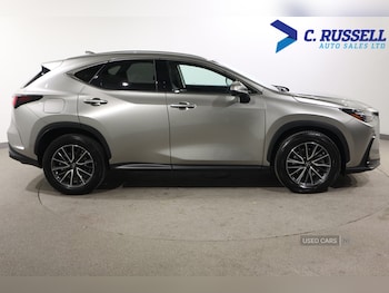 Used Lexus NX 2023 for sale - 77884104: Photo