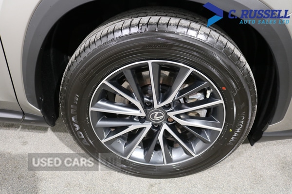 Used Lexus NX 2023 for sale - 77884104: Photo 9