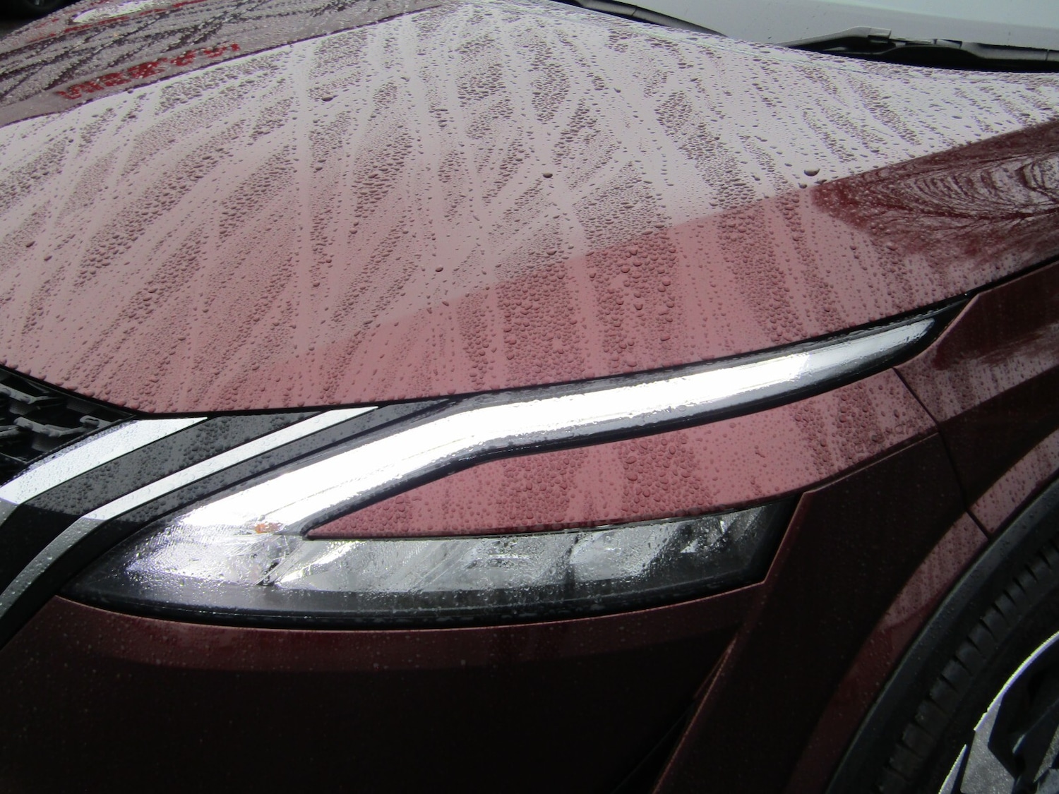 Used Nissan Qashqai 2022 for sale - 77380832: Photo 11