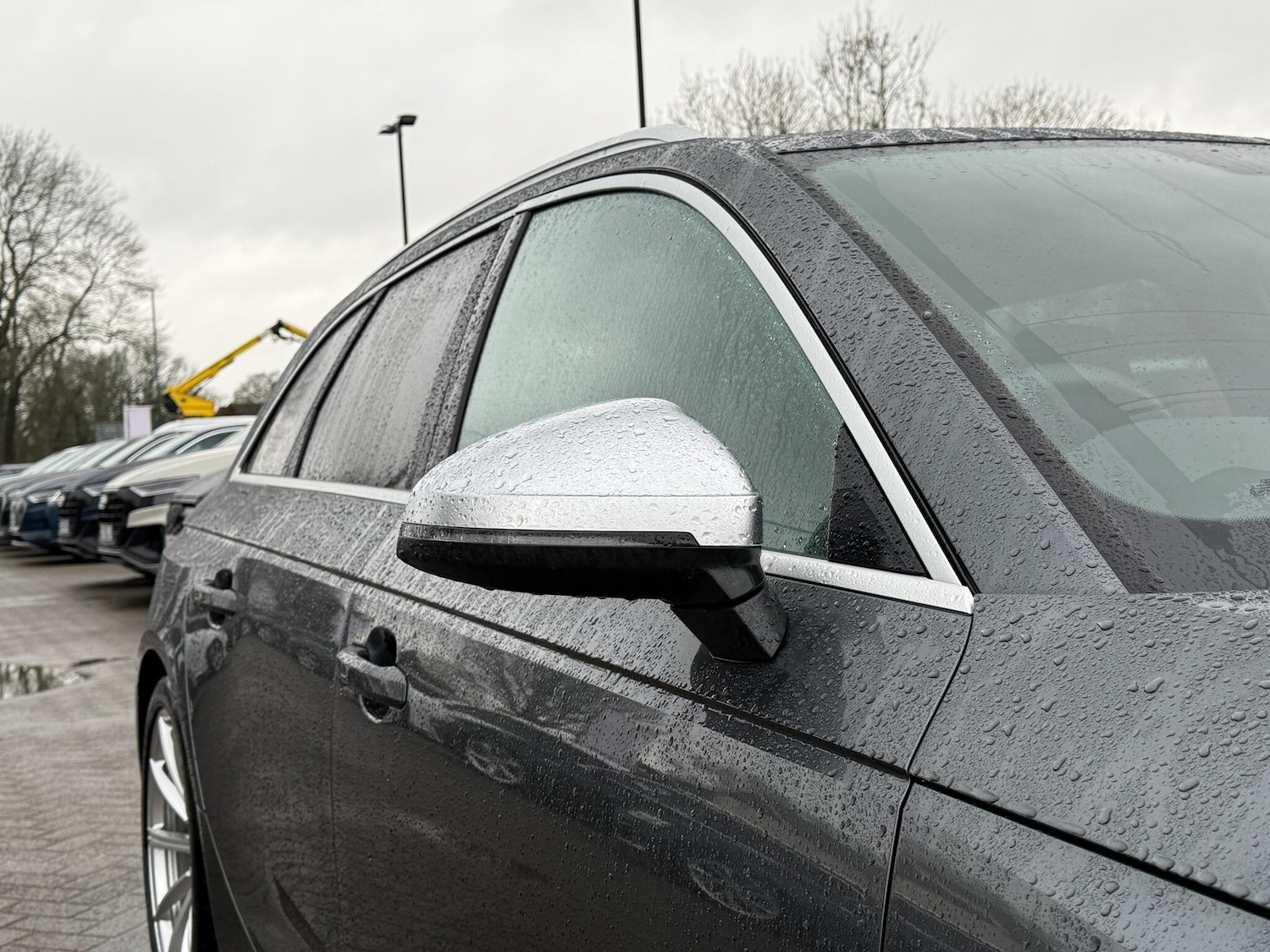 Used Audi RS4 2024 for sale - 77291421: Photo 49