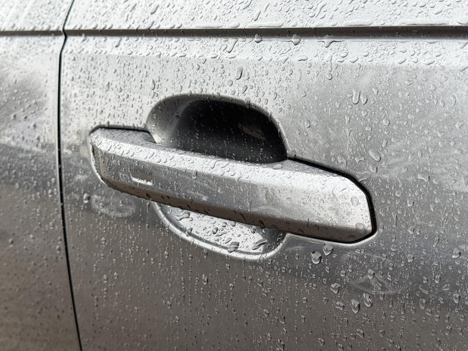 Used Audi RS4 2024 for sale - 77291421: Photo 52