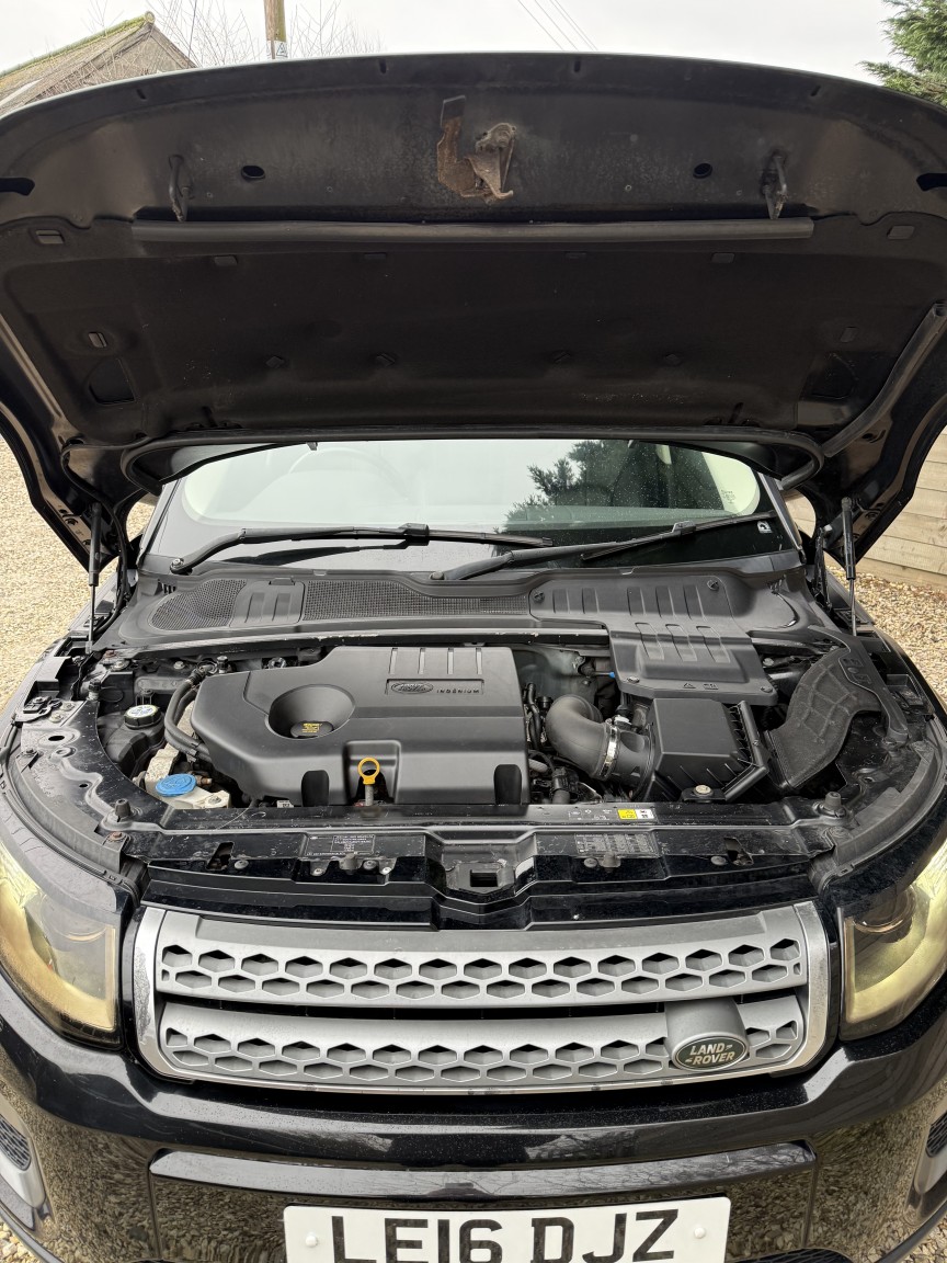 Used Land Rover Range Rover Evoque 2016 for sale - 78018276: Photo 7