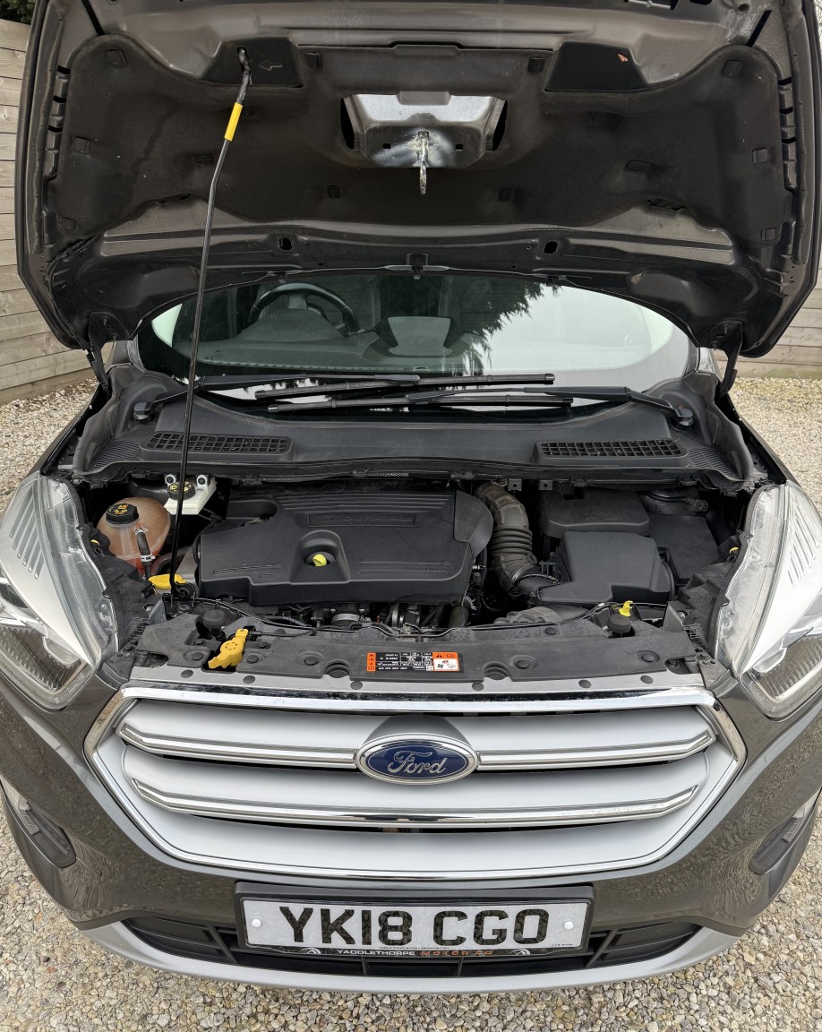 Used Ford Kuga 2018 for sale - 77844941: Photo 10