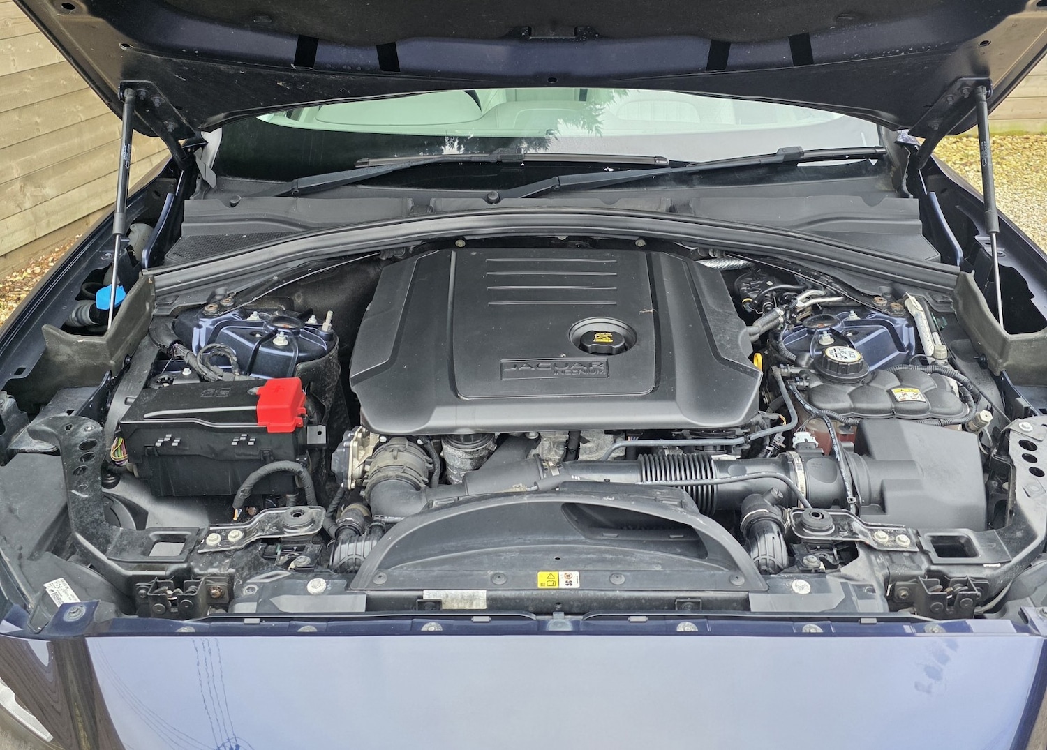 Used Jaguar F-Pace 2016 for sale - 77494681: Photo 3