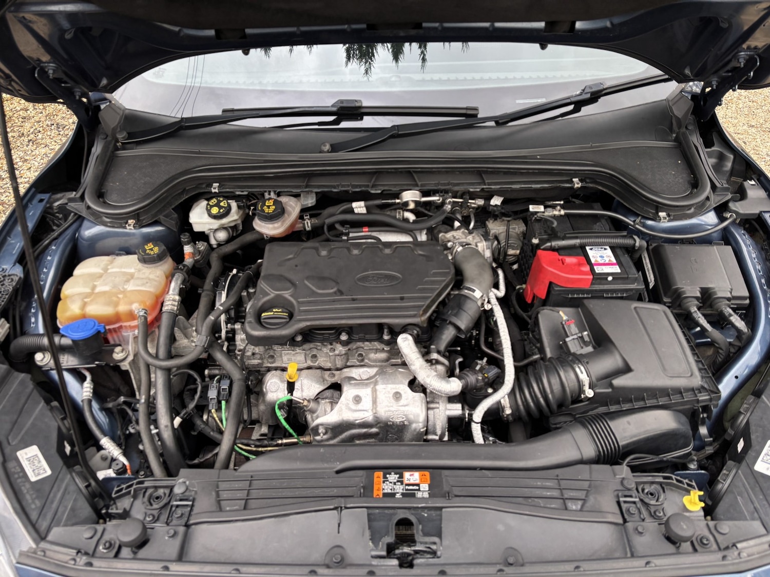 Used Ford Focus 2021 for sale - 76748266: Photo 16