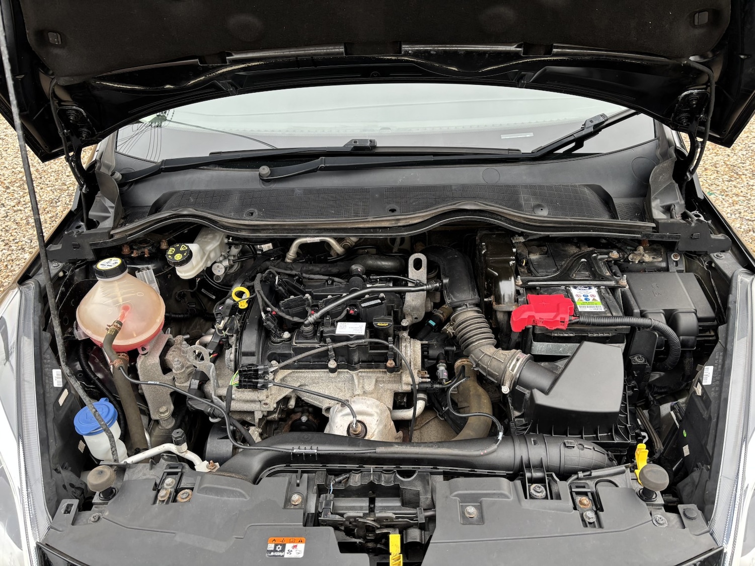 Used Ford Fiesta 2018 for sale - 77129576: Photo 17