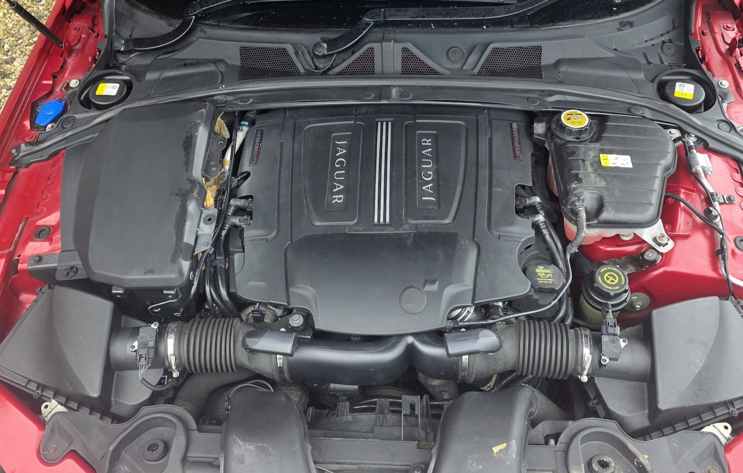 Used Jaguar XF 2012 for sale - 77494684: Photo 12