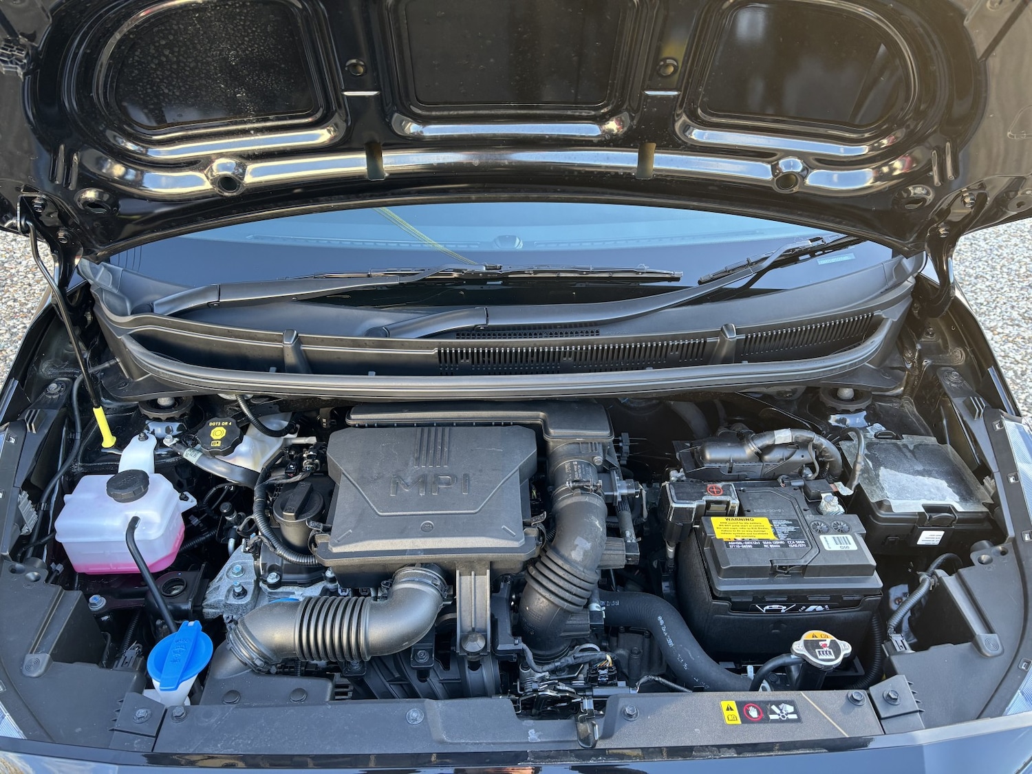 Used Kia Picanto 2024 for sale - 77129639: Photo 16