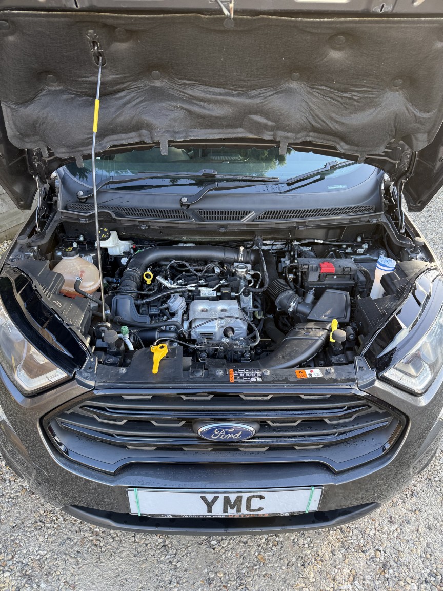 Used Ford Ecosport 2020 for sale - 77400064: Photo 8