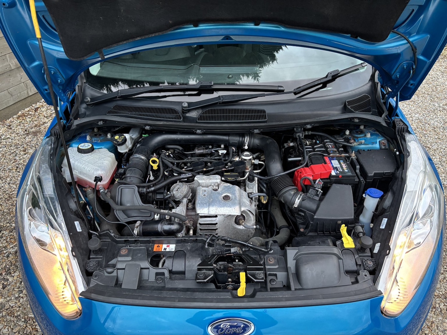 Used Ford Fiesta 2014 for sale - 76904685: Photo 15