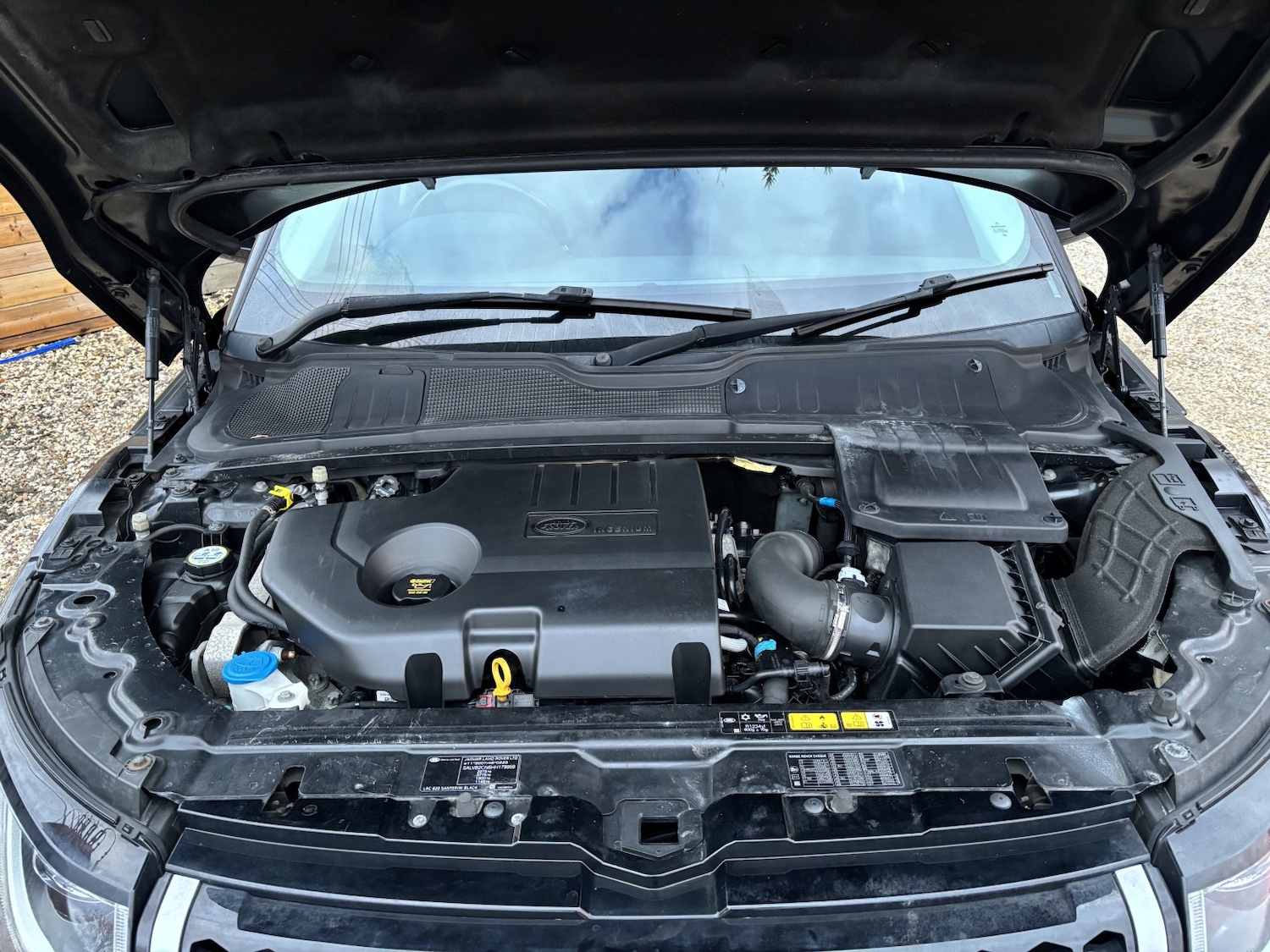 Used Land Rover Range Rover Evoque 2016 for sale - 77154467: Photo 16