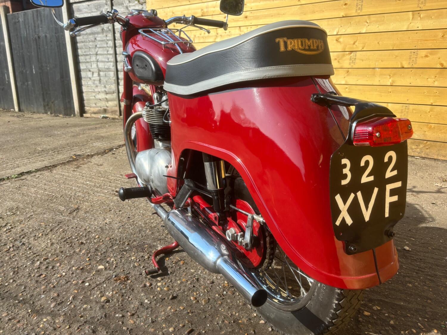 Used Triumph 5TA 2019 for sale - 78612452: Photo 4