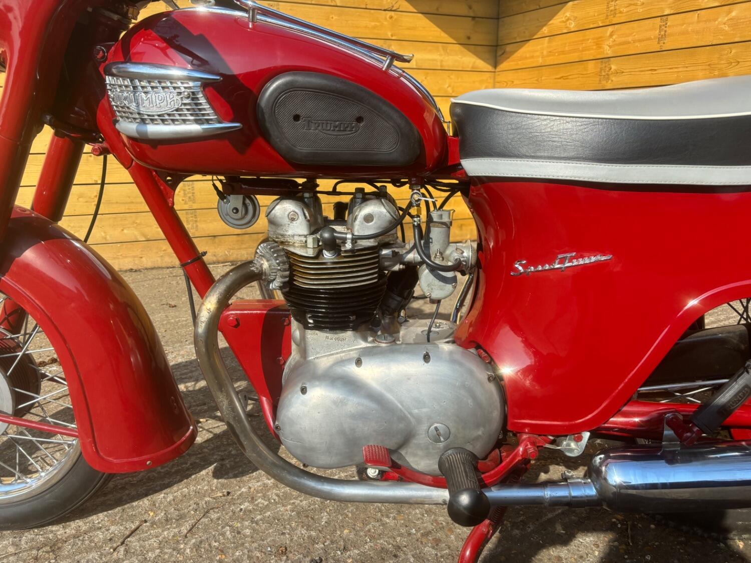 Used Triumph 5TA 2019 for sale - 78612452: Photo 5