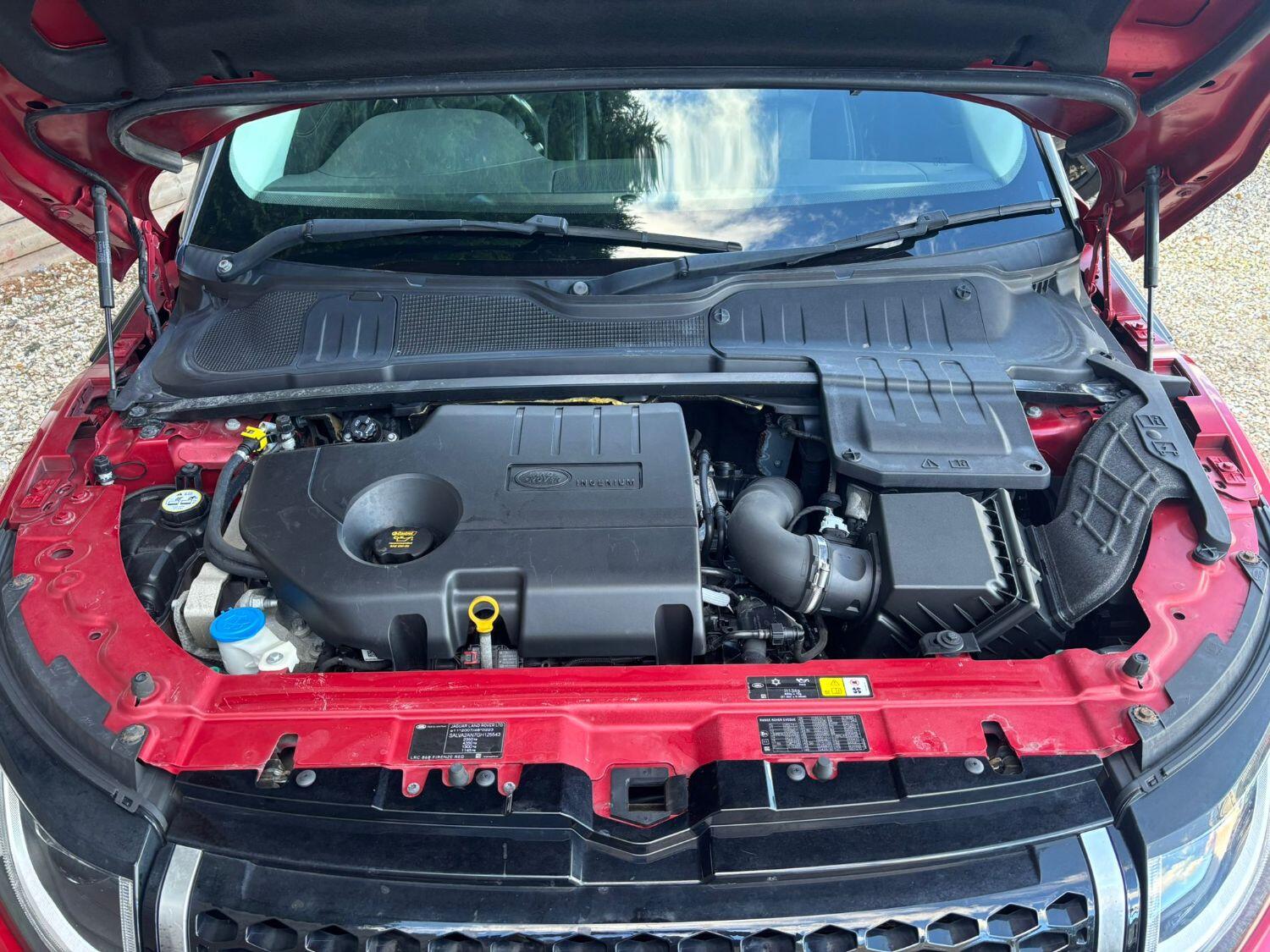 Used Land Rover Range Rover Evoque 2016 for sale - 76376867: Photo 8