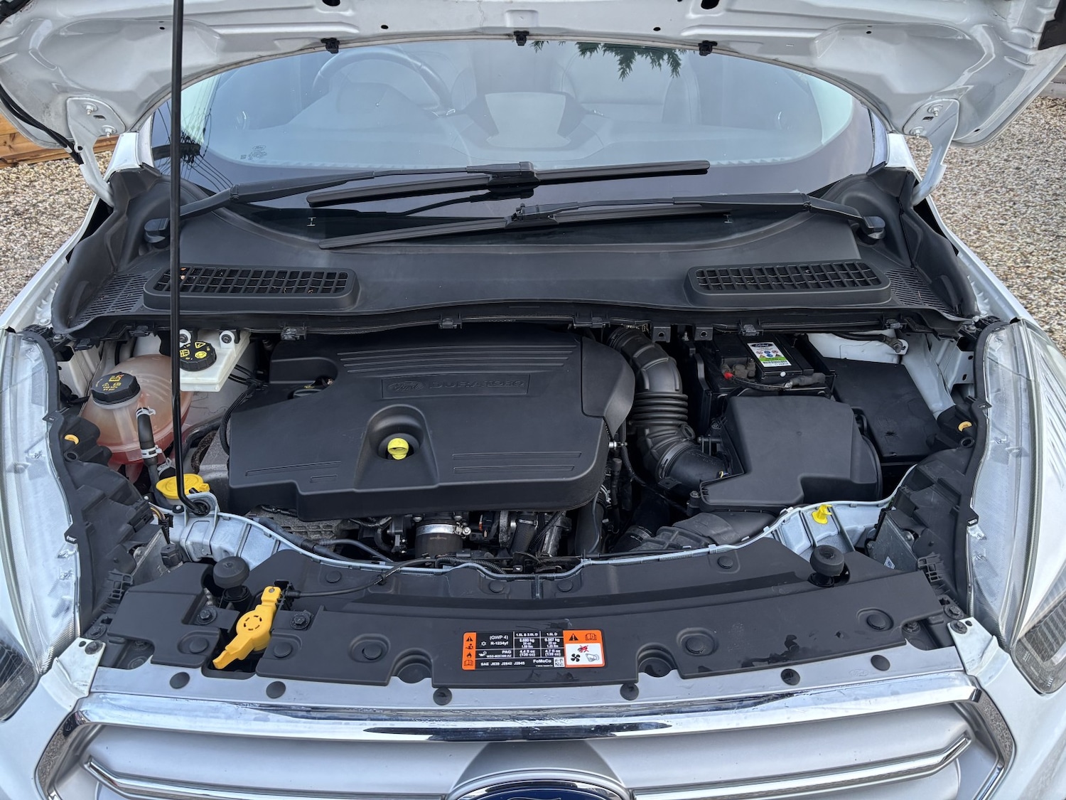 Used Ford Kuga 2017 for sale - 77319808: Photo 21