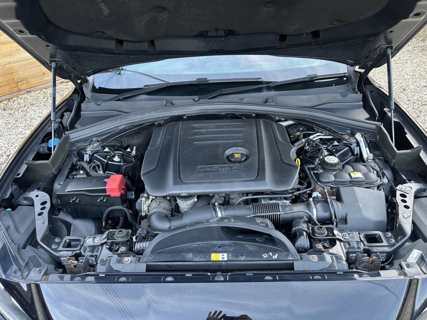 Used Jaguar F-Pace 2018 for sale - 76748267: Photo 20