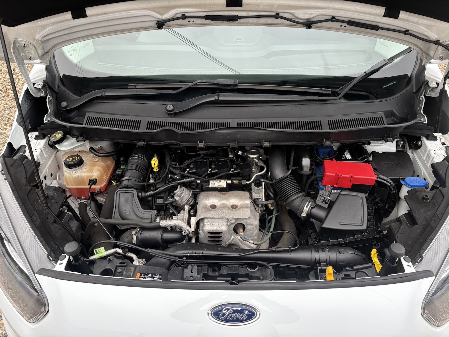 Used Ford Transit Courier 2020 for sale - 77277278: Photo 14