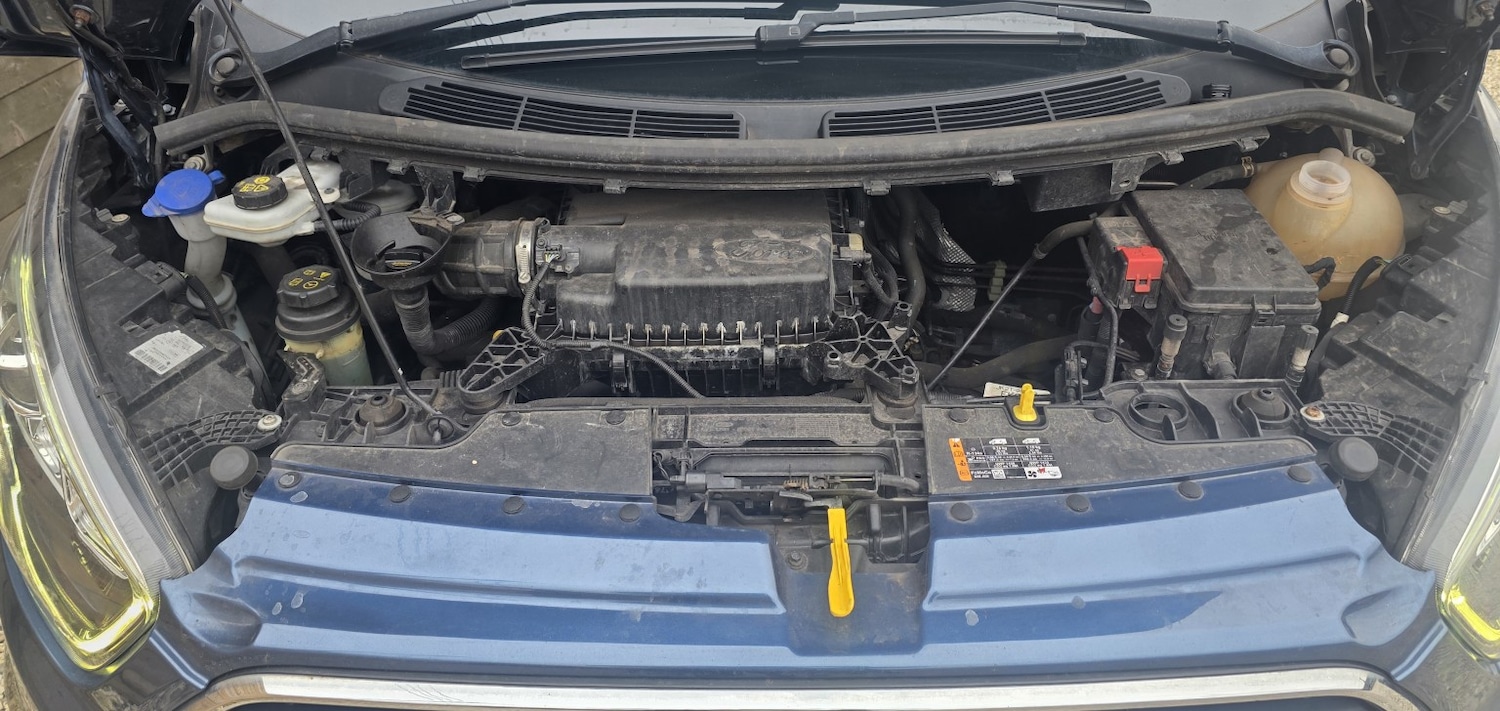 Used Ford Transit Custom 2019 for sale - 77991710: Photo 18