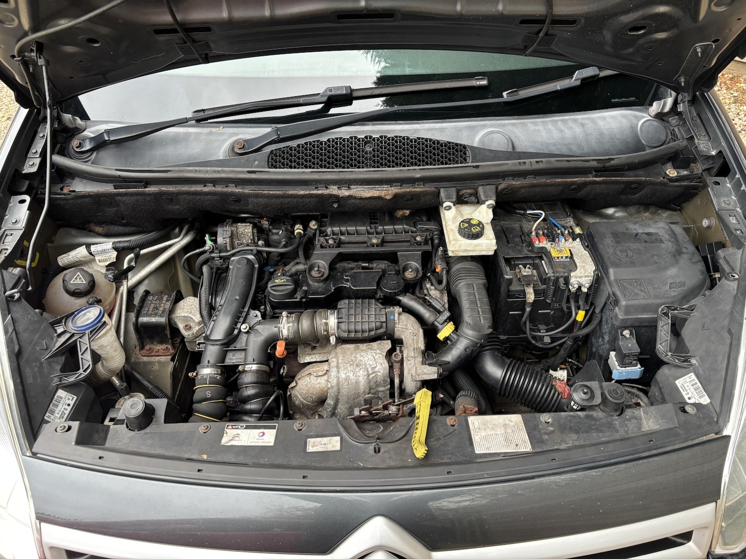 Used Citroen Berlingo 2017 for sale - 76565154: Photo 11