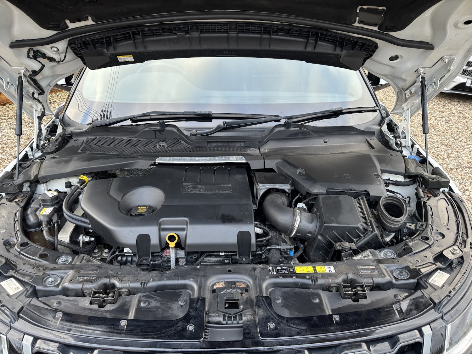 Used Land Rover Range Rover Evoque 2019 for sale - 77282699: Photo 17