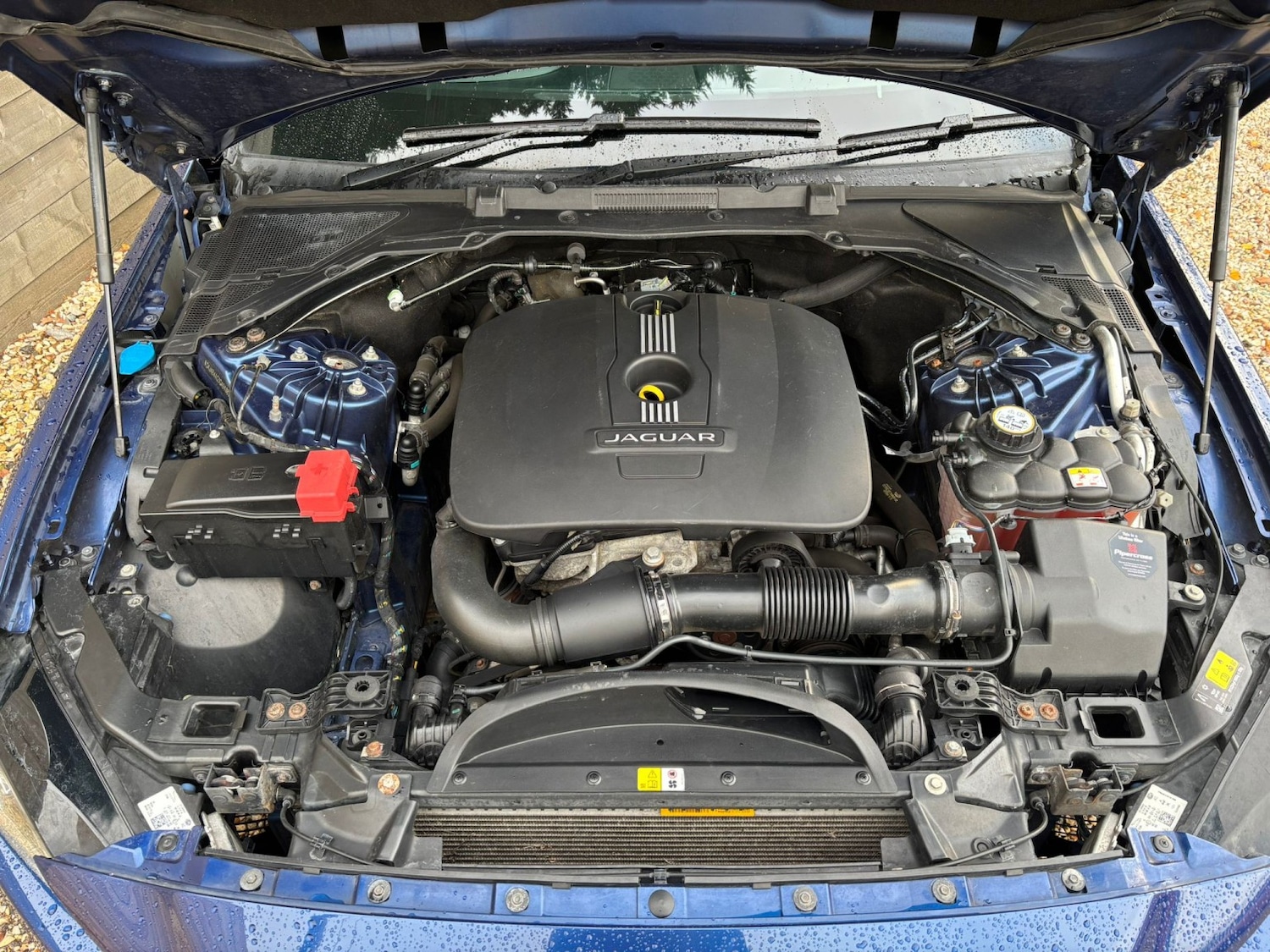 Used Jaguar XE 2016 for sale - 76670767: Photo 18