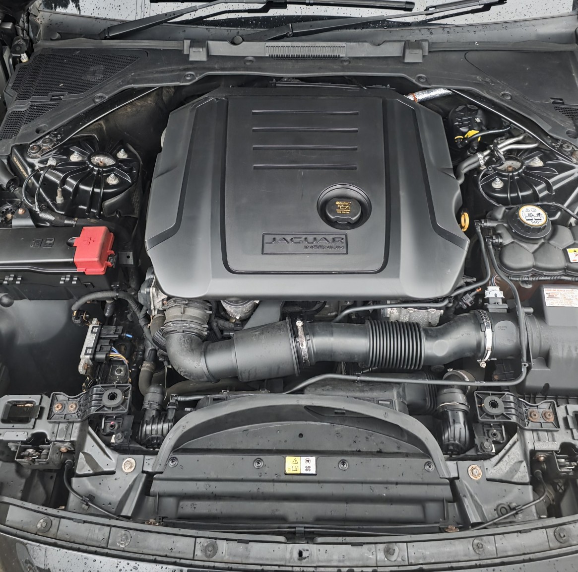 Used Jaguar XF 2017 for sale - 77595310: Photo 11