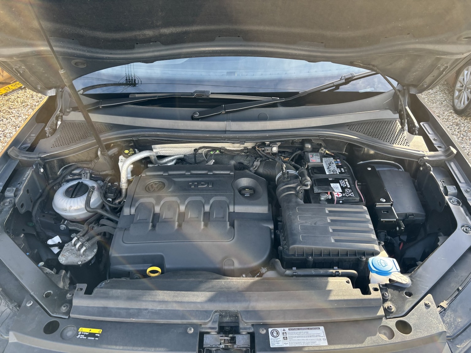 Used Volkswagen Tiguan 2017 for sale - 77400001: Photo 16