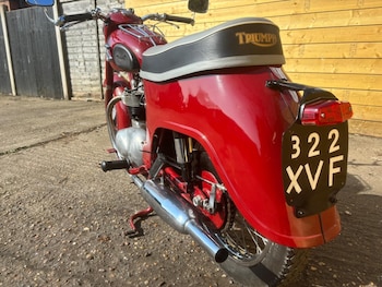 Used Triumph 5TA 2019 for sale - bike-79417436: Photo