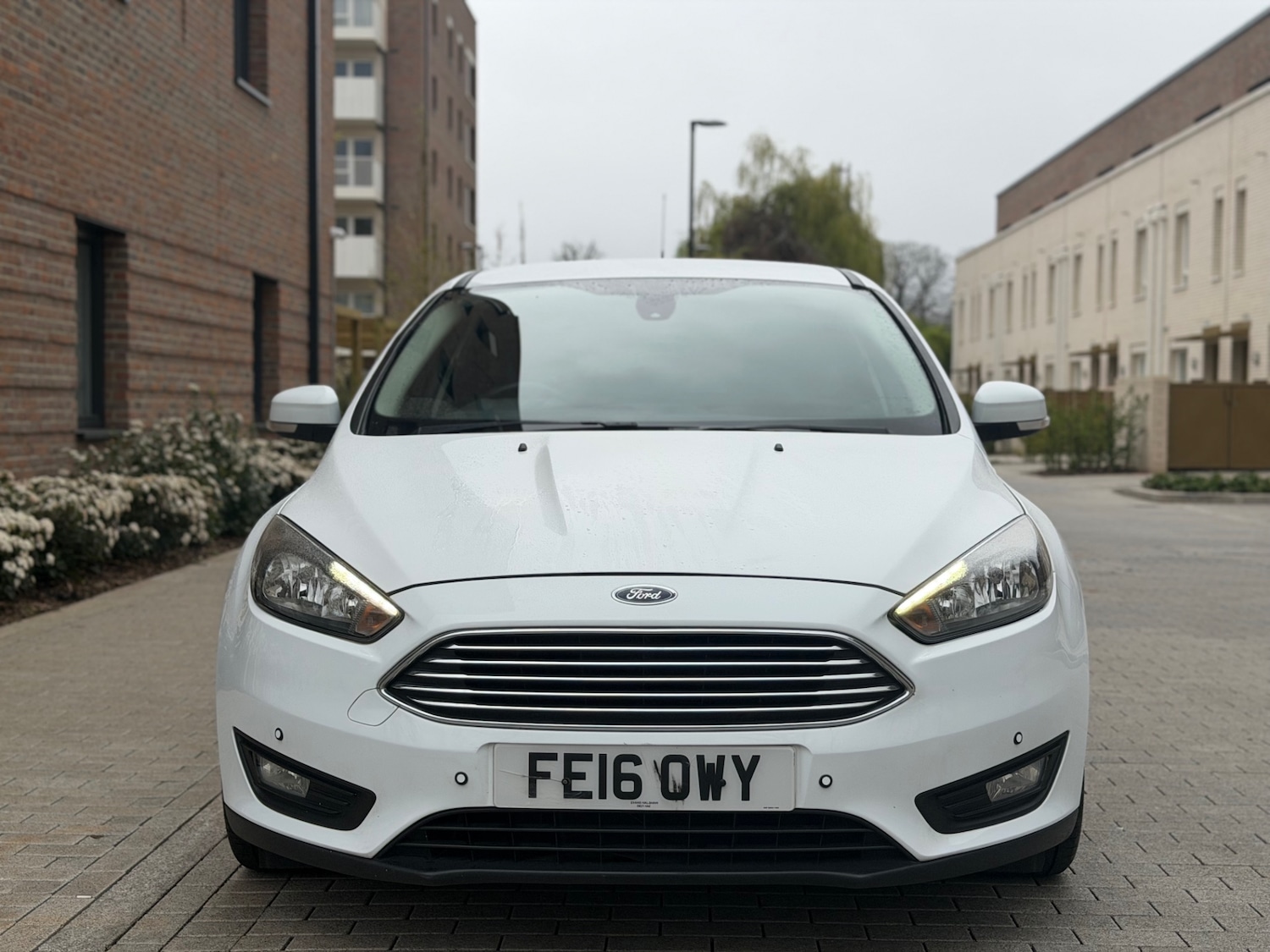 Used Ford Focus 2016 for sale - 78067795: Photo 1