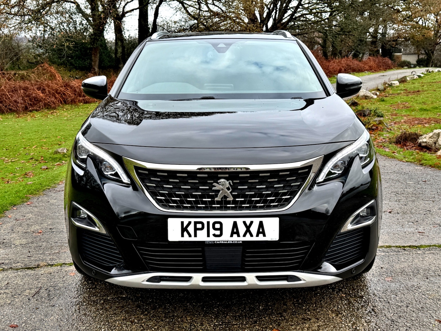 Used Peugeot 3008 2019 for sale - 77233453: Photo 2