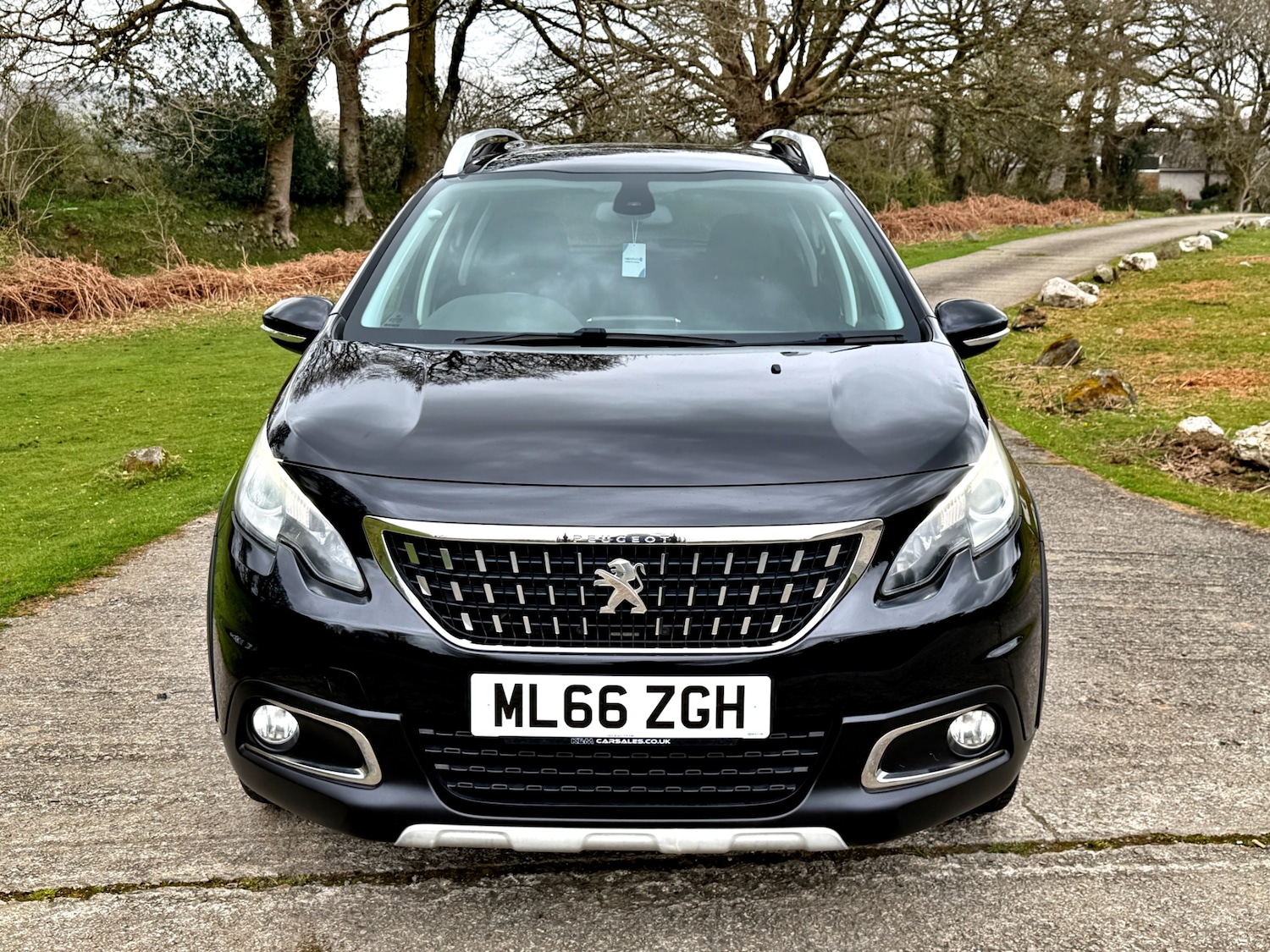 Used Peugeot 2008 2016 for sale - 78090824: Photo 2