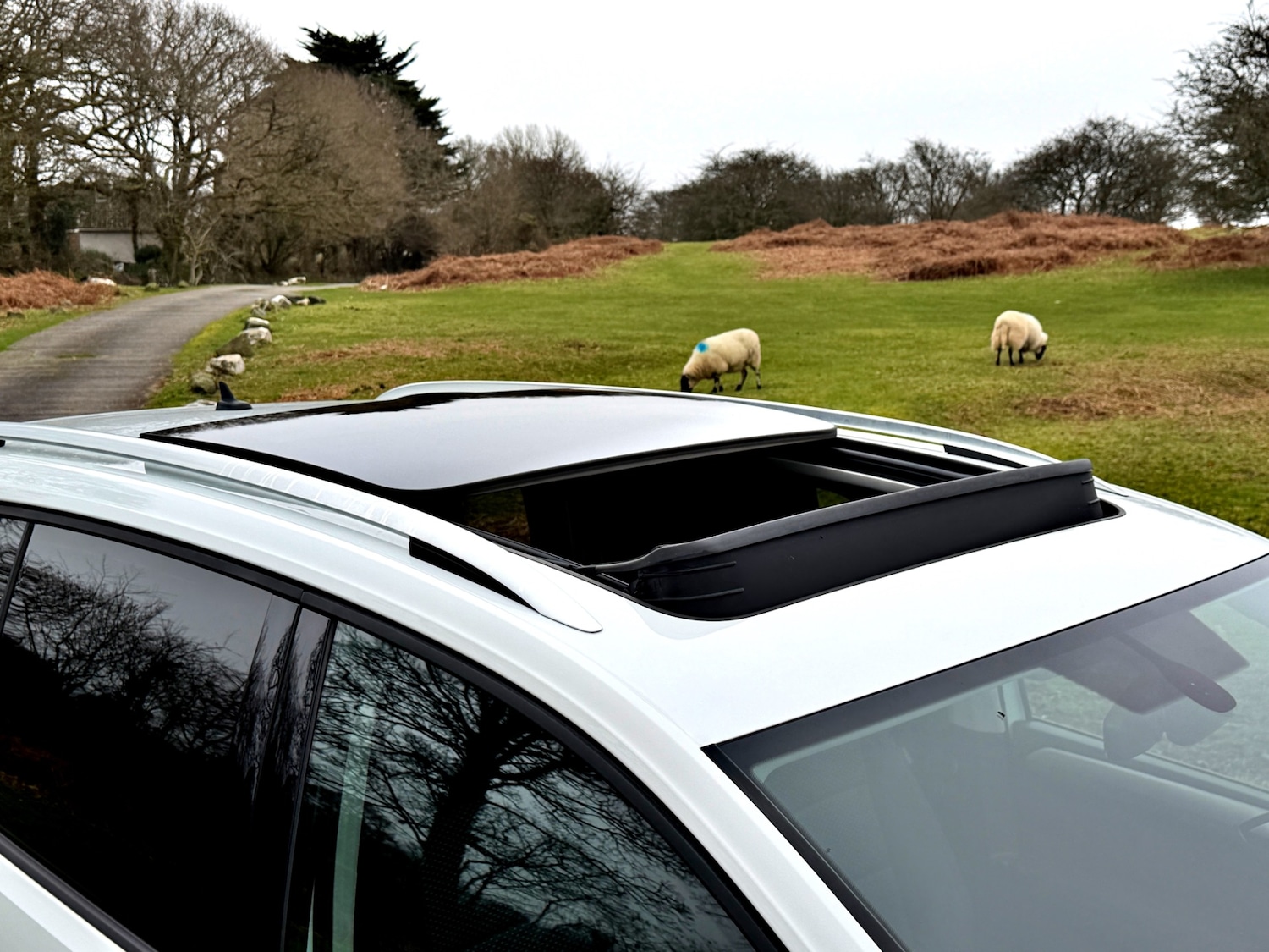 Used Volkswagen Touran 2017 for sale - 77640635: Photo 13