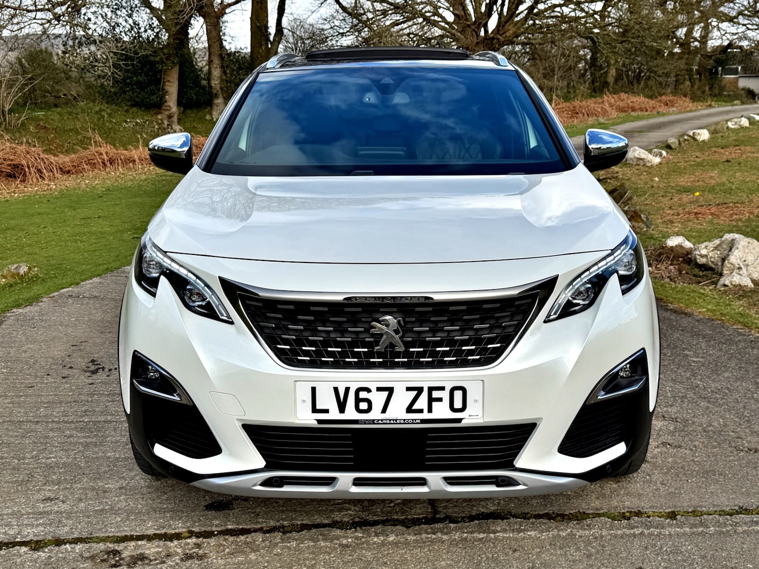 Used Peugeot 3008 2018 for sale - 78028016: Photo 2