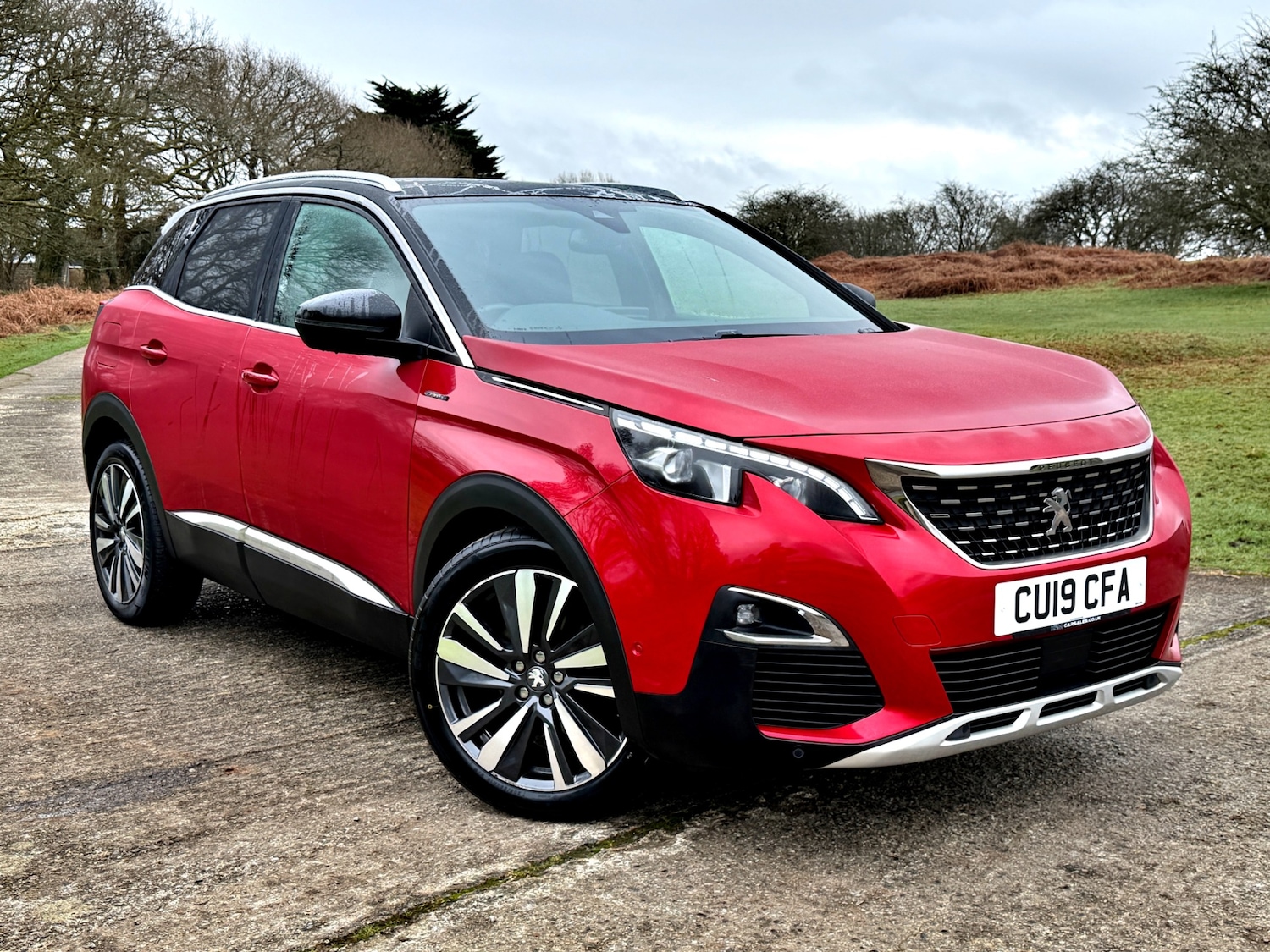 Used Peugeot 3008 2019 for sale - 77662345: Photo 1