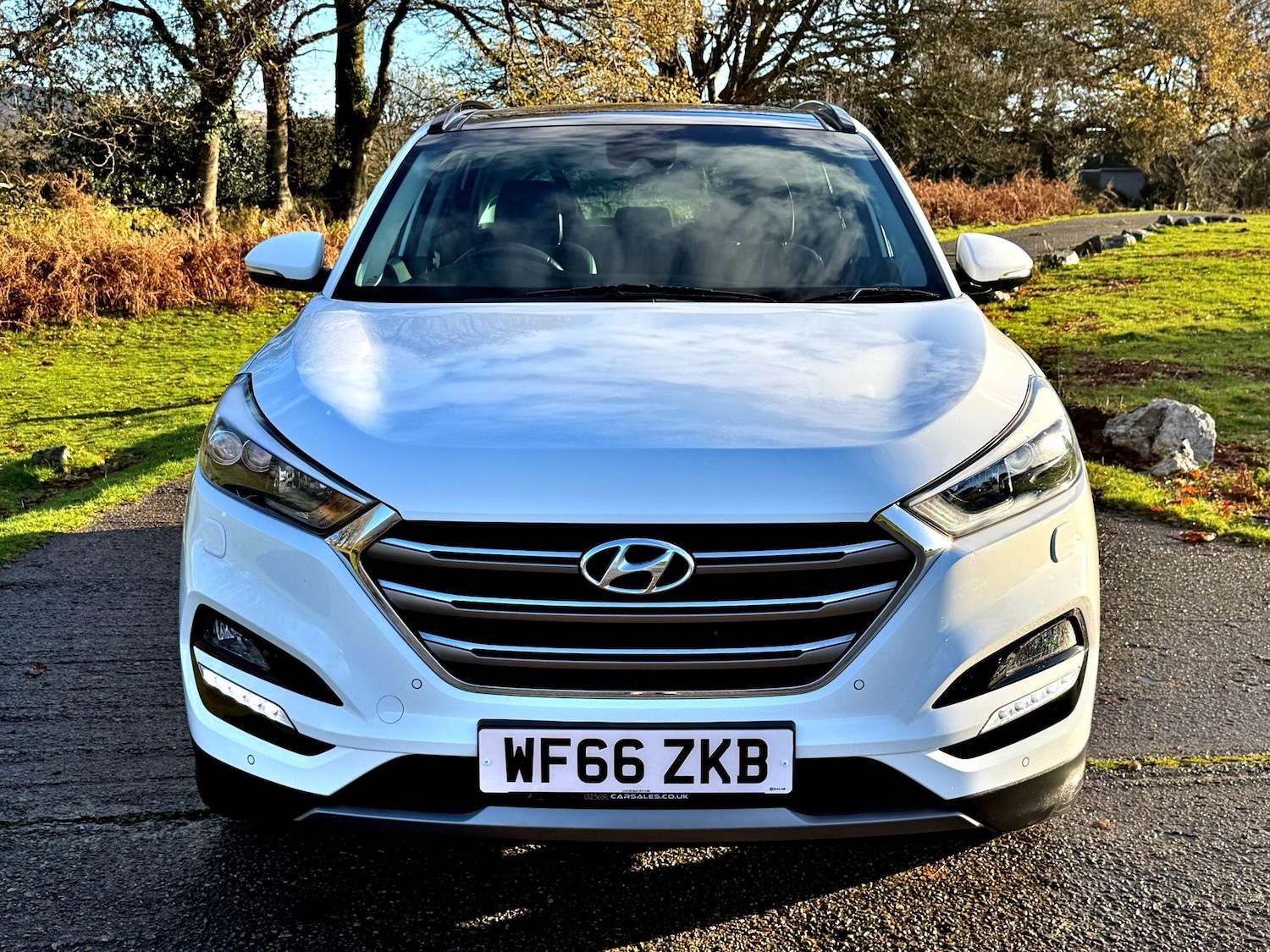 Used Hyundai TUCSON 2016 for sale - 76832765: Photo 2