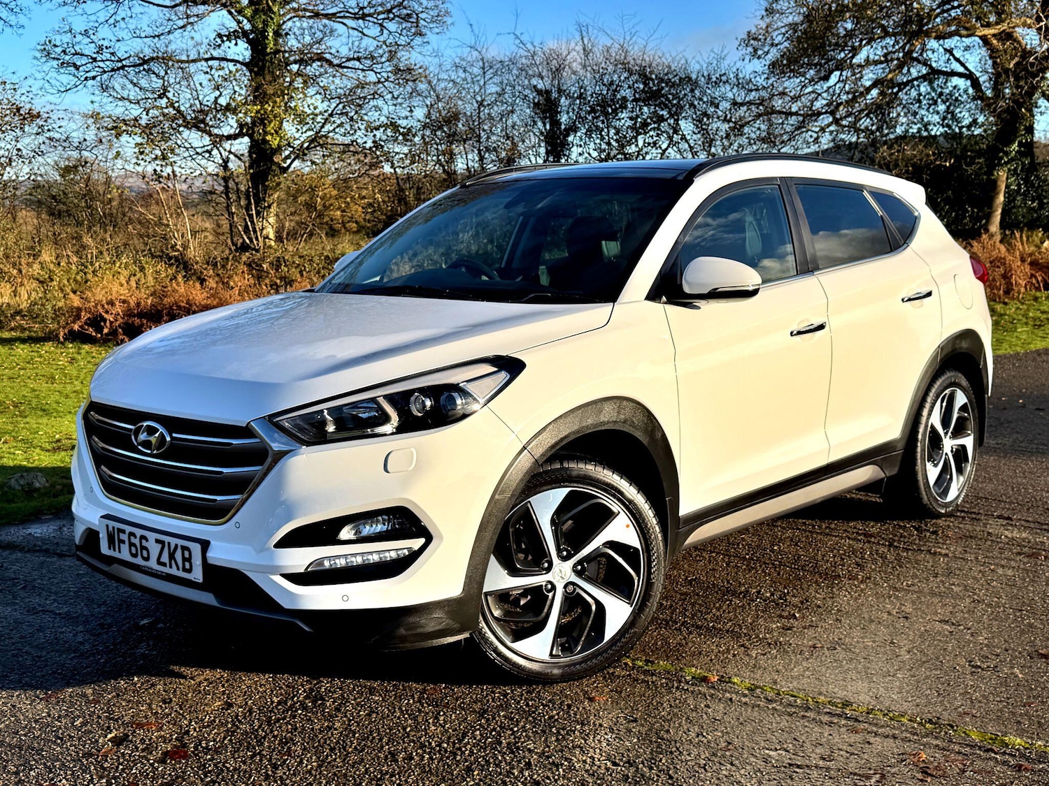 Used Hyundai TUCSON 2016 for sale - 76832765: Photo 3