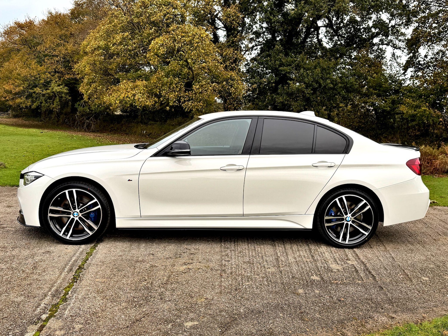 Used BMW 3 Series 2018 for sale - 76832666: Photo 4