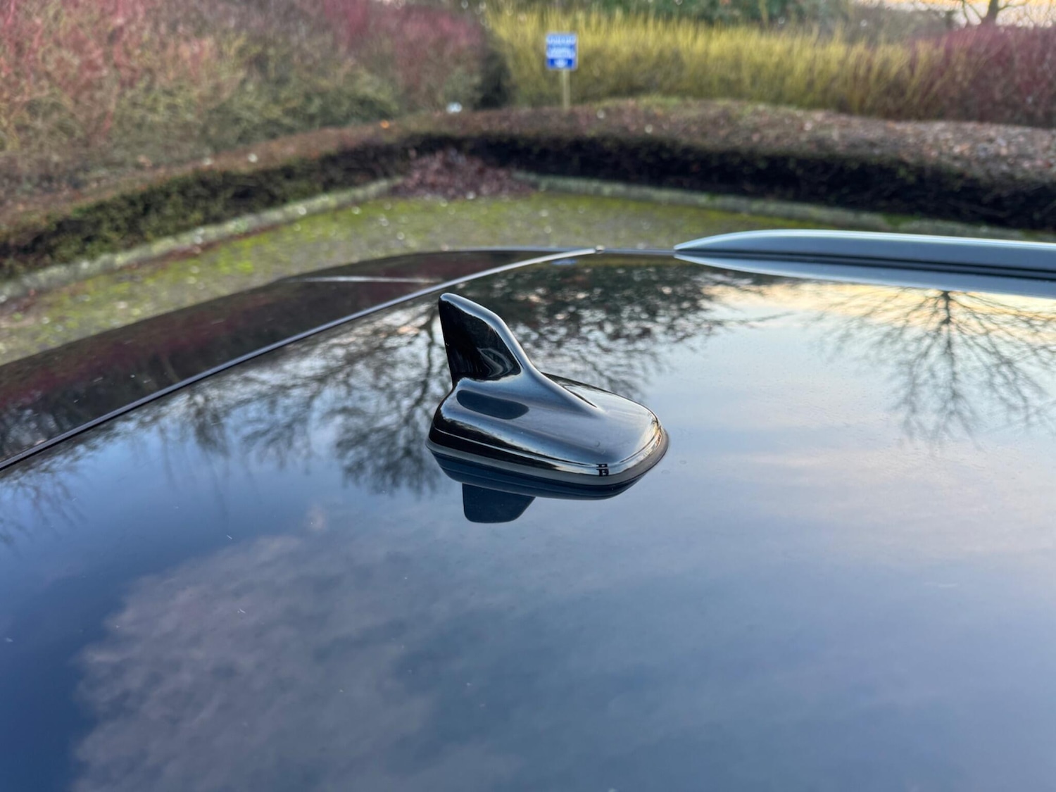 Used Audi A4 2017 for sale - 77377257: Photo 80