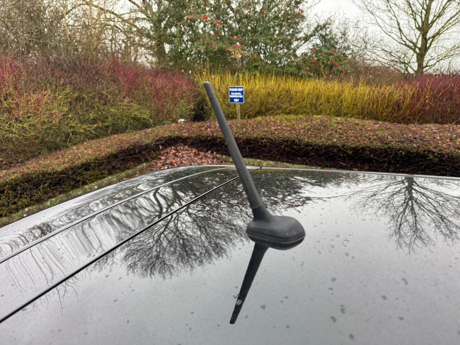 Used Alfa Romeo Giulietta 2017 for sale - 77267045: Photo 68