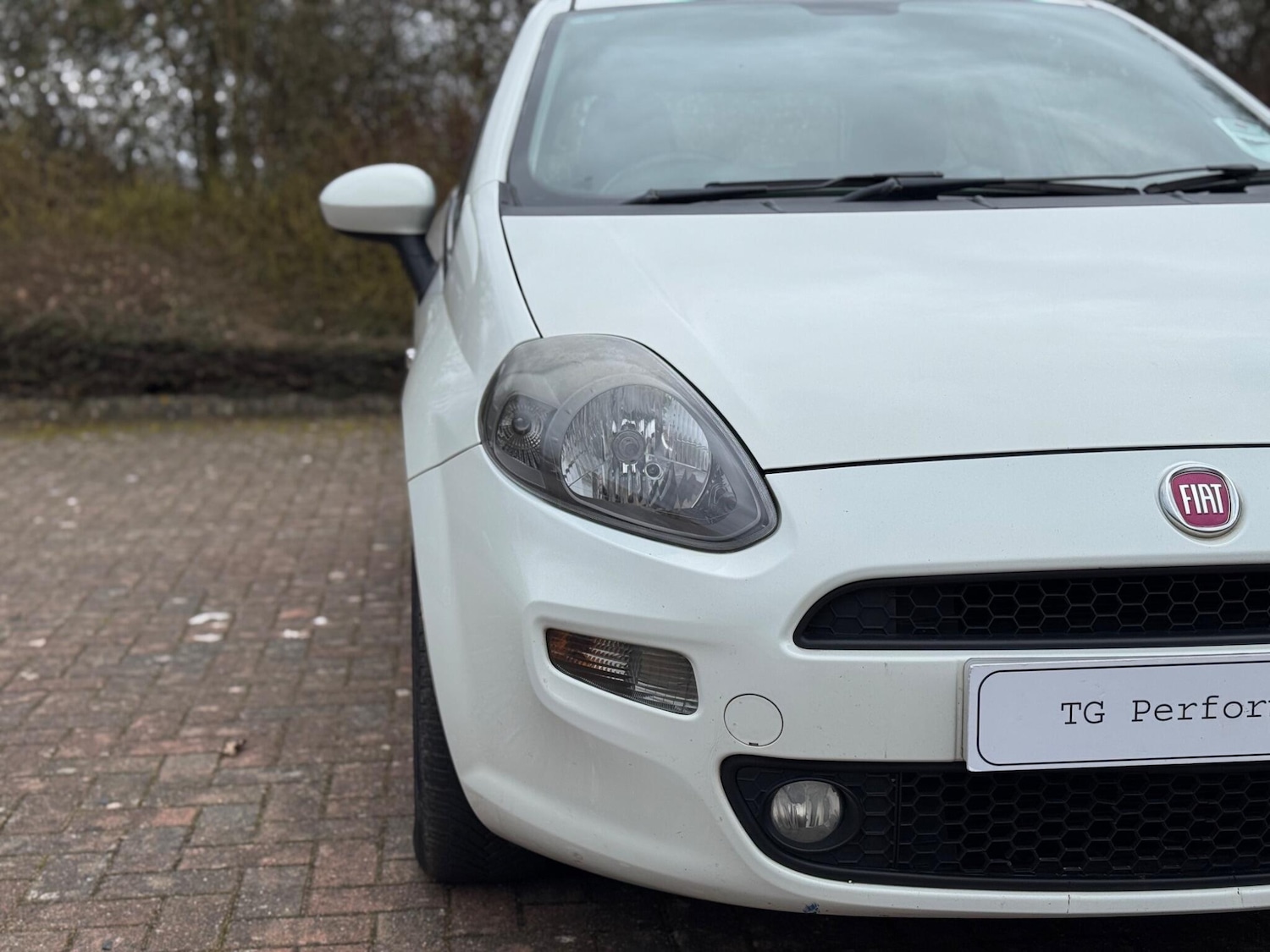 Used Fiat Punto 2013 for sale - 77940552: Photo 12