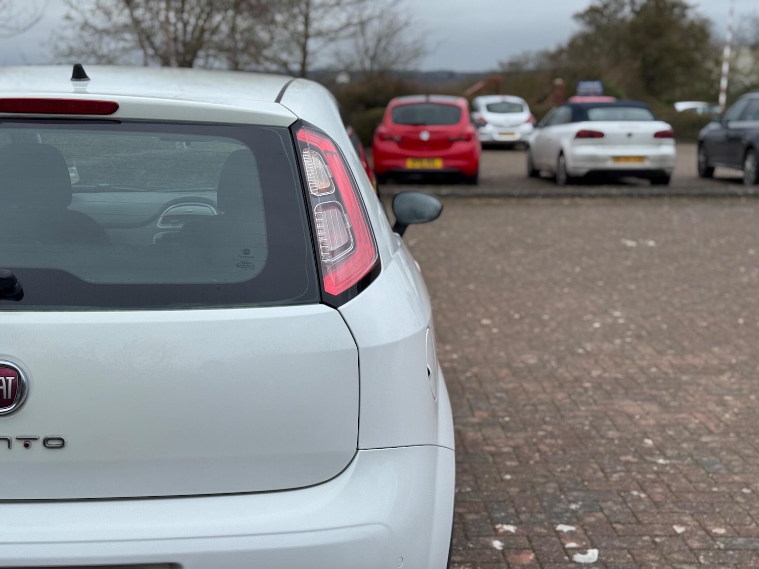 Used Fiat Punto 2013 for sale - 77940552: Photo 13