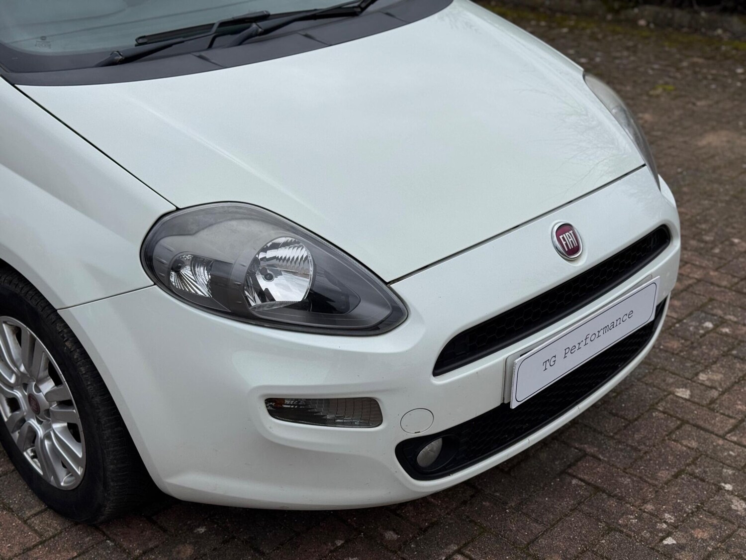 Used Fiat Punto 2013 for sale - 77940552: Photo 46